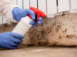 Best Crawl Space Mold Remediation  in Temple, GA